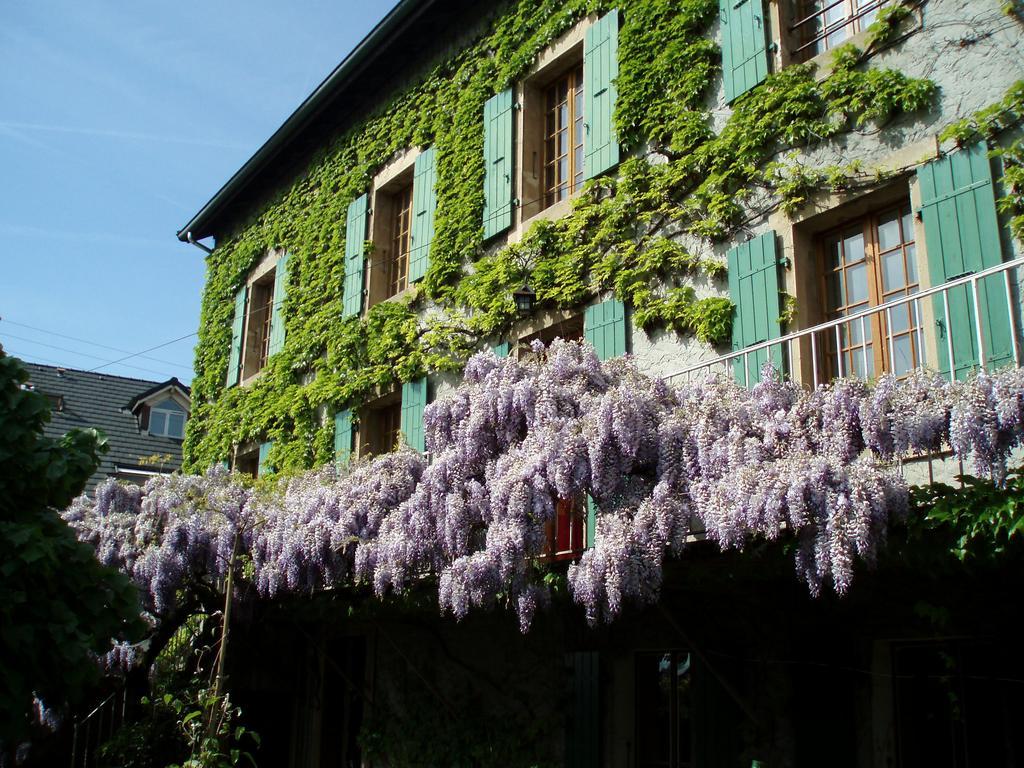 La Maison De Concise (Adults Only) Thonon-les-Bains Exterior photo